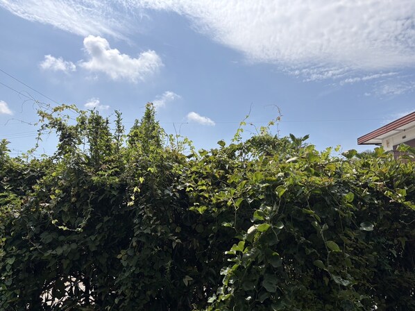 プリマヴェーラAの物件内観写真